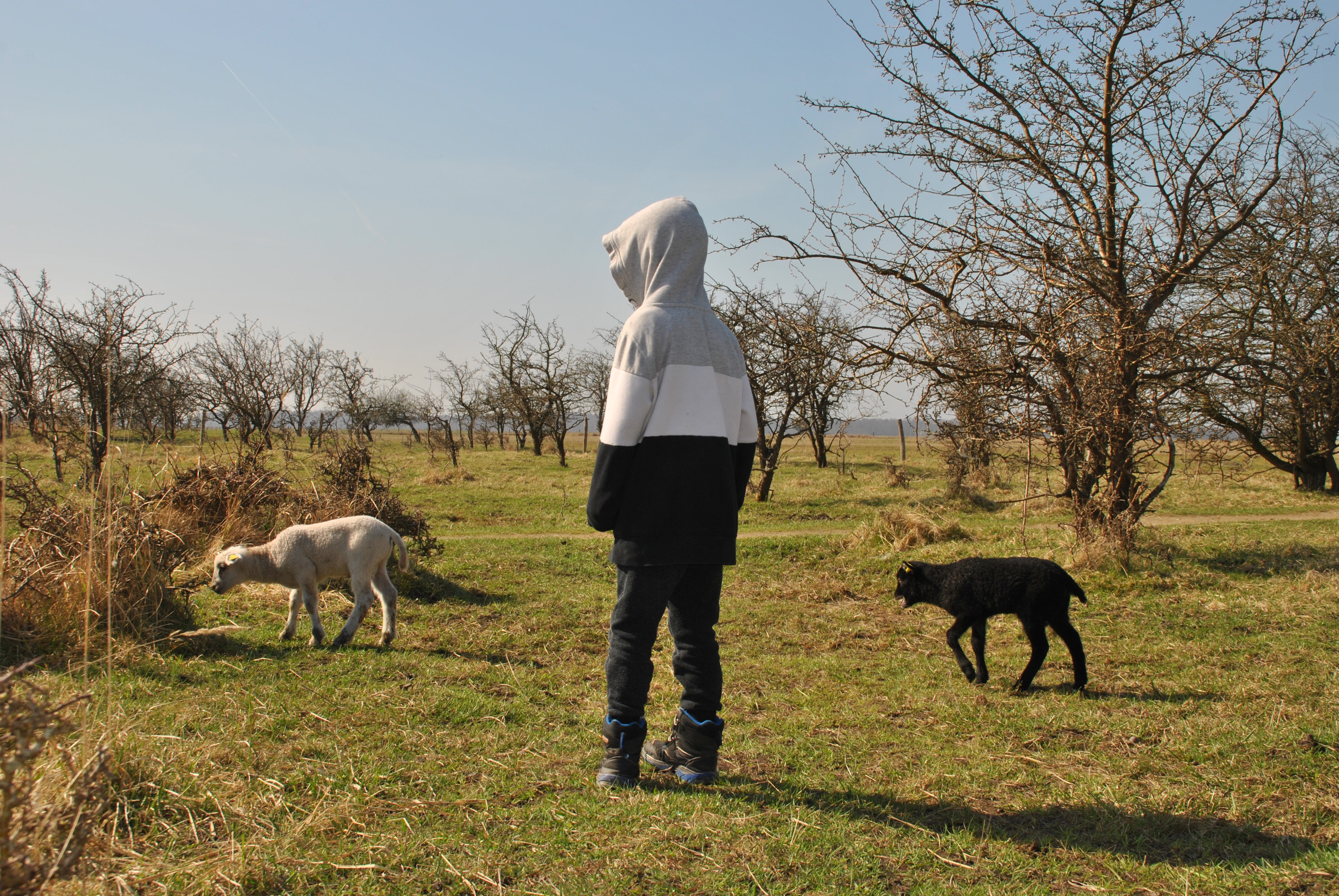 Resources.Labels.Get('LIT_LOGO')