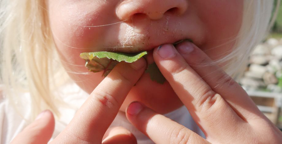 Resources.Labels.Get('LIT_LOGO')