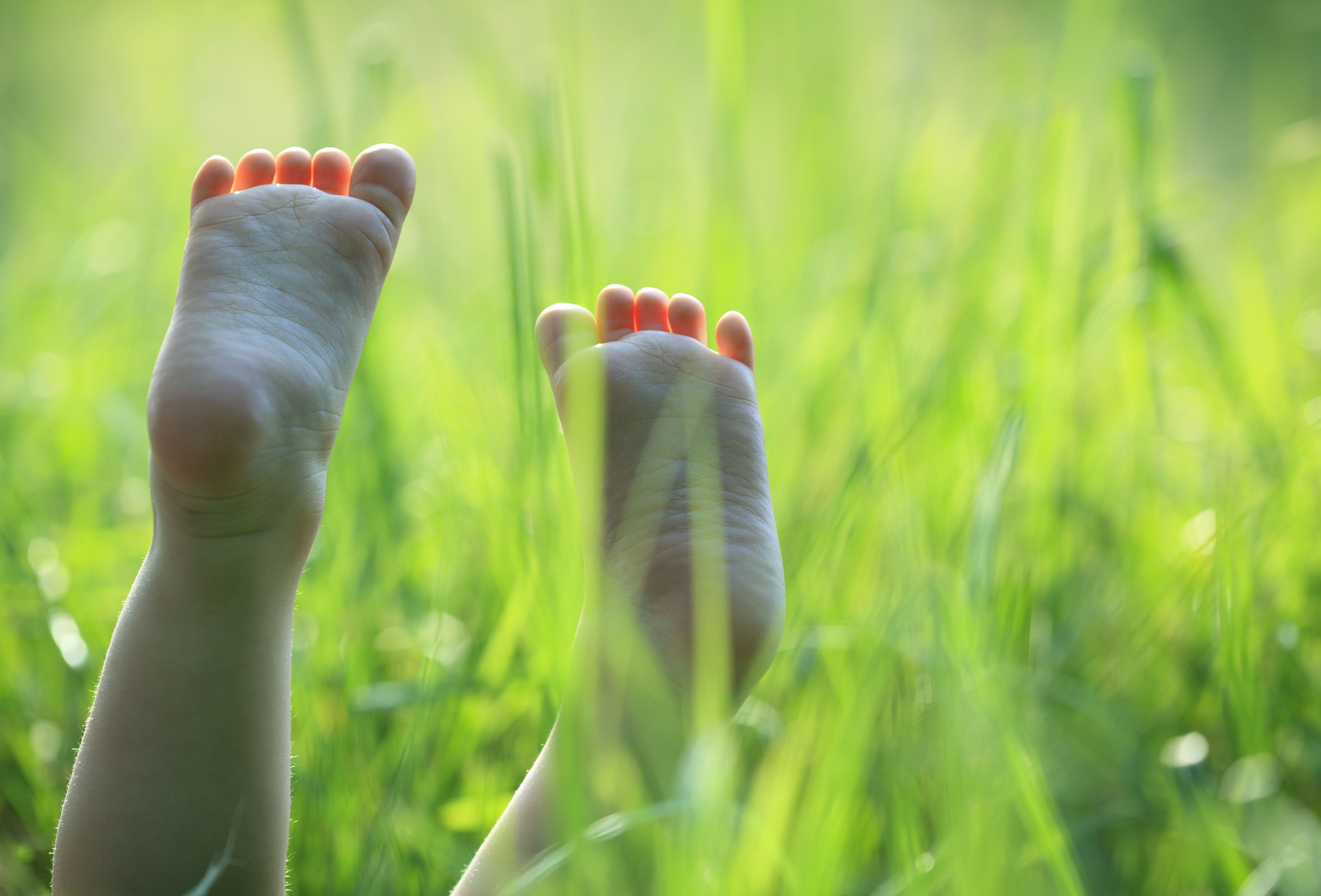 BNM - Mærk forårsskoven -Image 