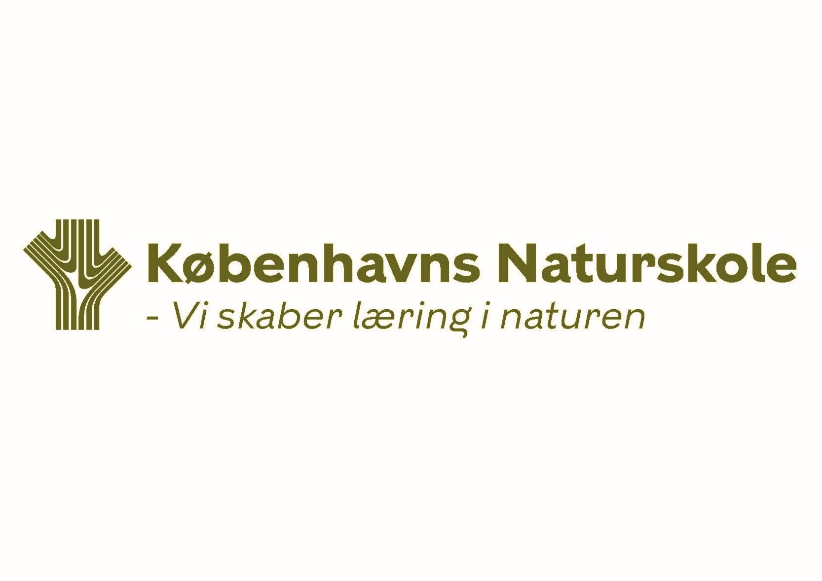 Activity logo 