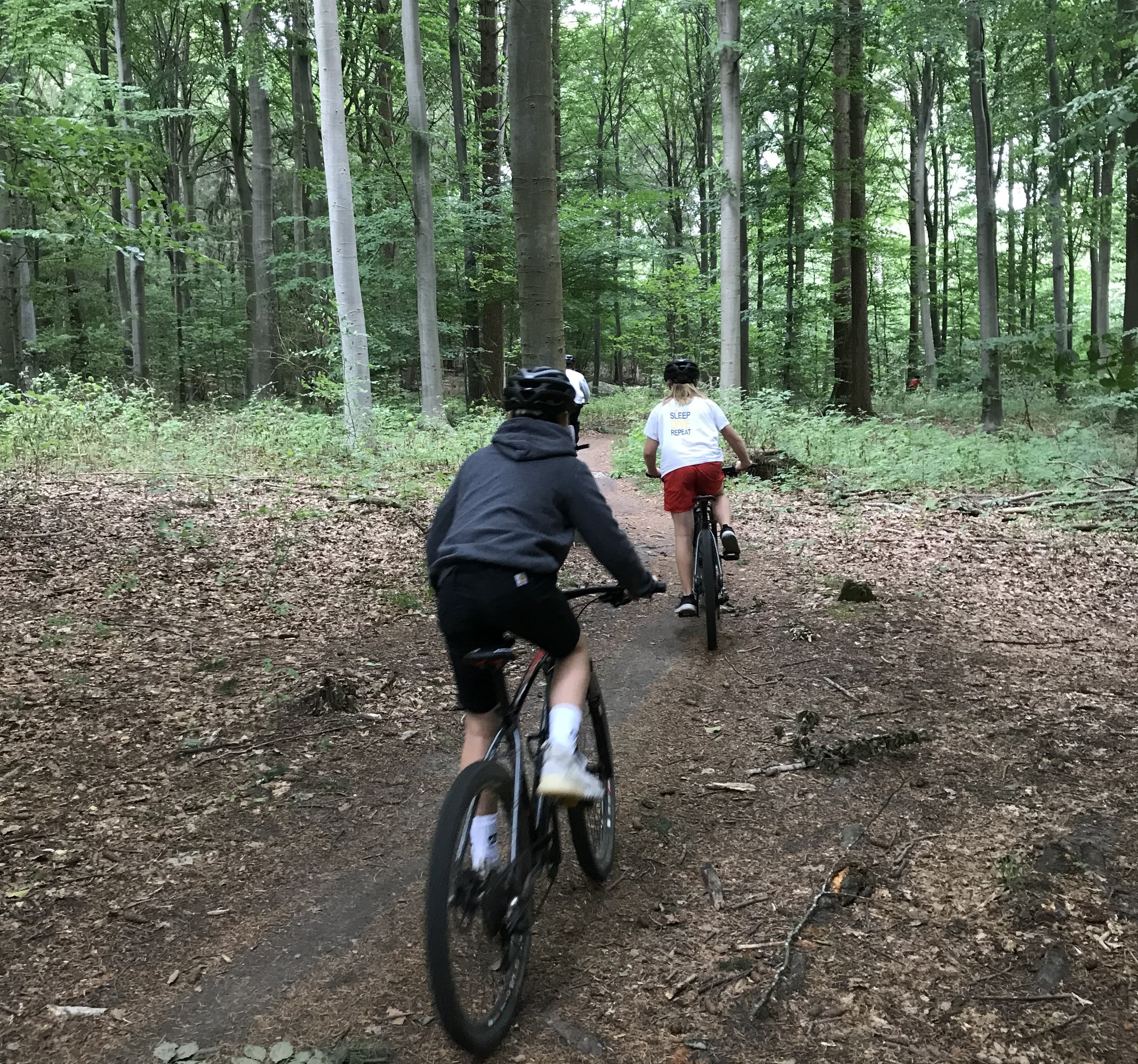 NAK MTB singletrack -Image 