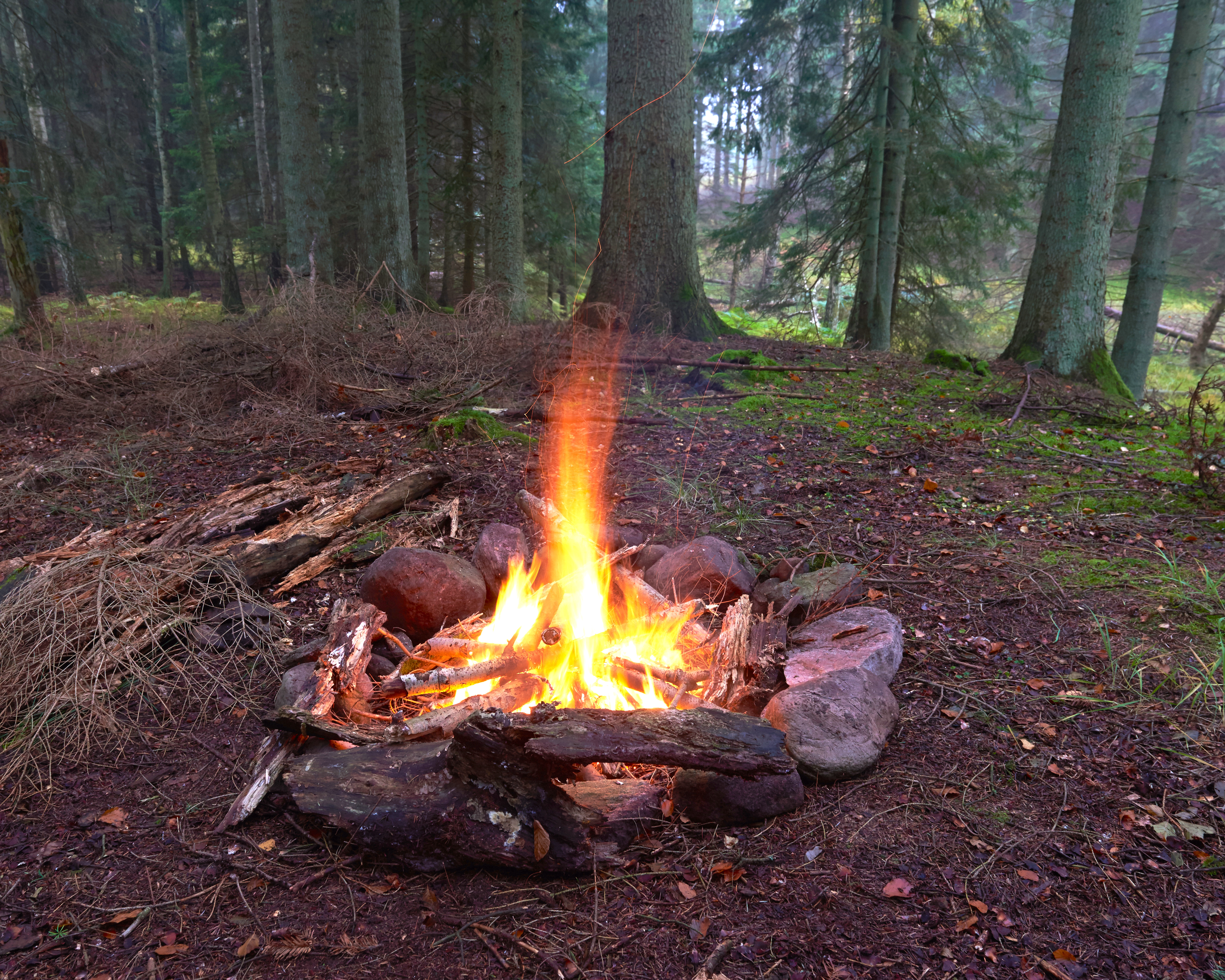 BNM-Friluftsliv -Image 